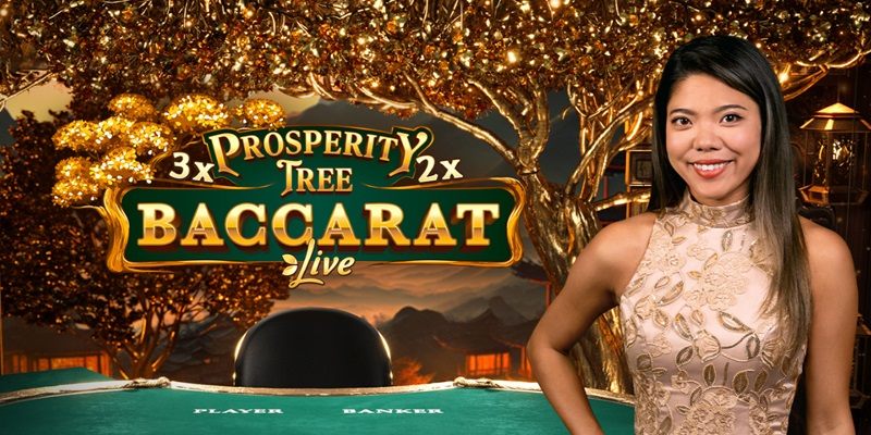 Baccarat có lừa đảo không nên tìm hiểu về sòng bạc